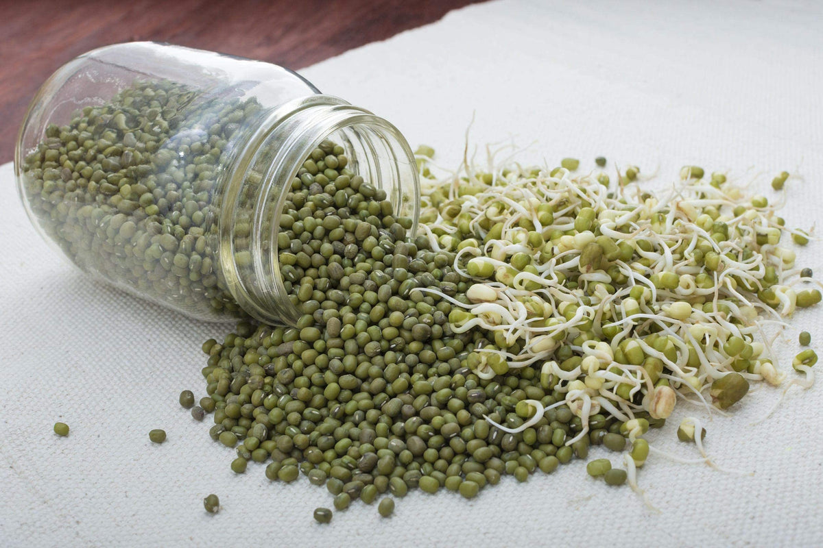 Food to Live mung beans label shows non-GMO and Kosher certification