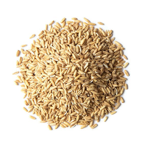 Food to Live Oat Groats in a cooking pot ready for breakfast.