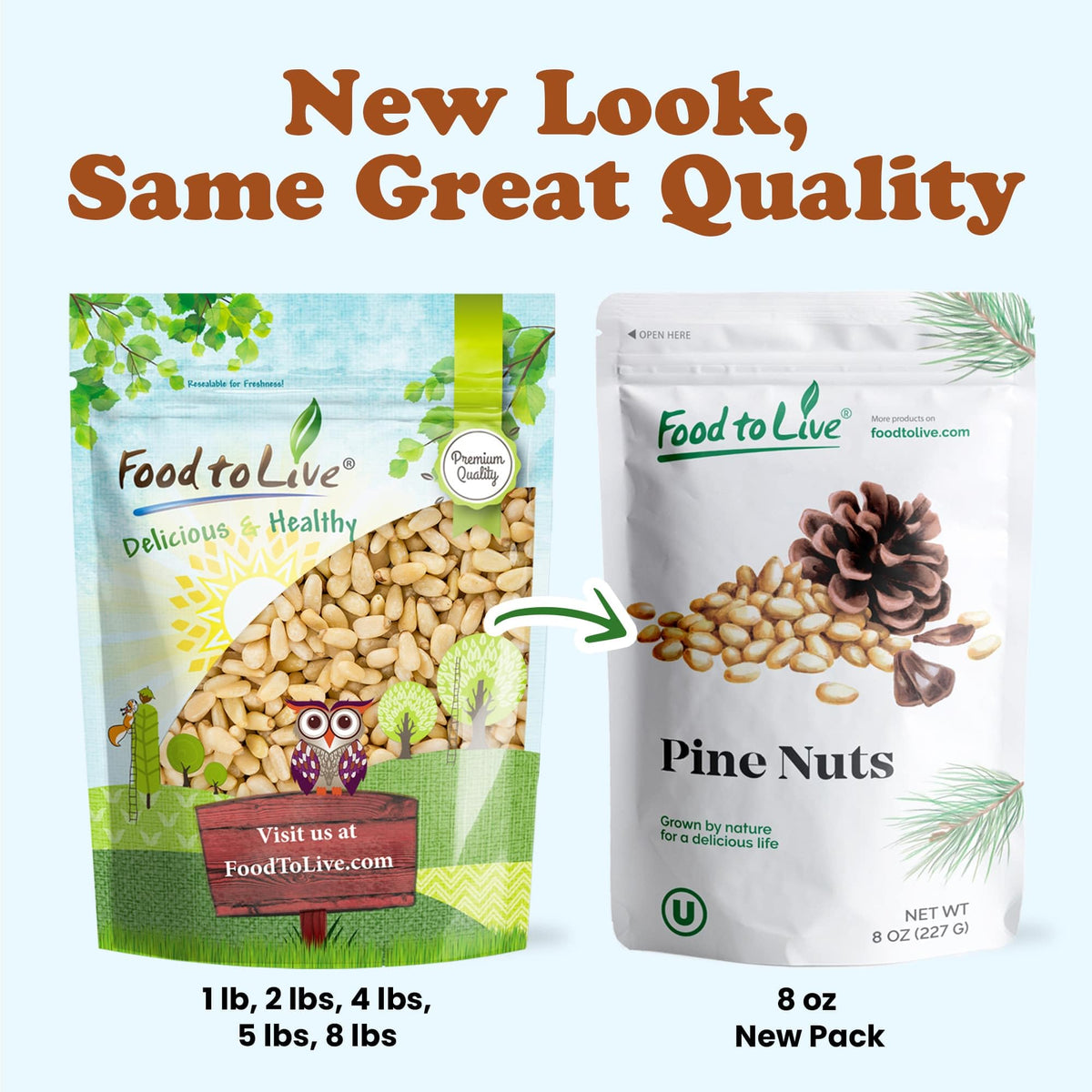 Food to Live vitamin E rich pine nuts support balanced snacking.