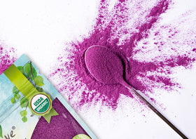 Food to Live Purple Sweet Potato Powder scoop demonstrates easy portioning.