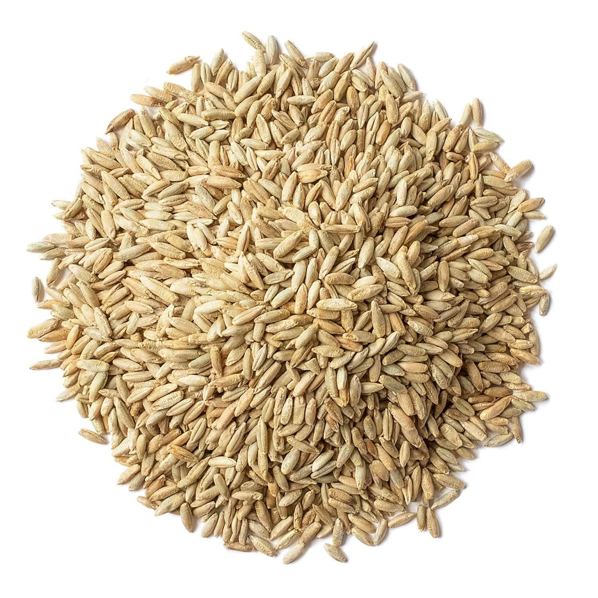 Food to Live rye berries grain closeup highlights natural hull and surface texture.
