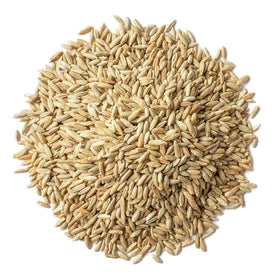 Food to Live rye berries grain closeup highlights natural hull and surface texture.