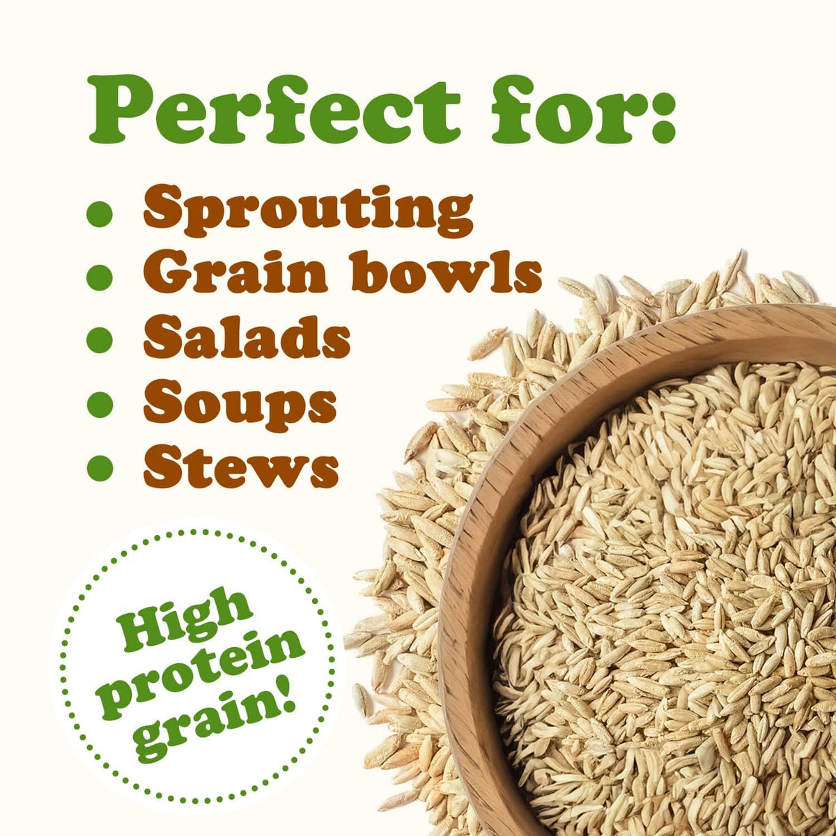 Food to Live rye berries salad bowl features fluffy grains in a nourishing mix.