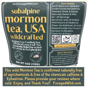 ForagedWild Mormon Tea amber brew, inviting aroma and a gentle, tea-like finish.