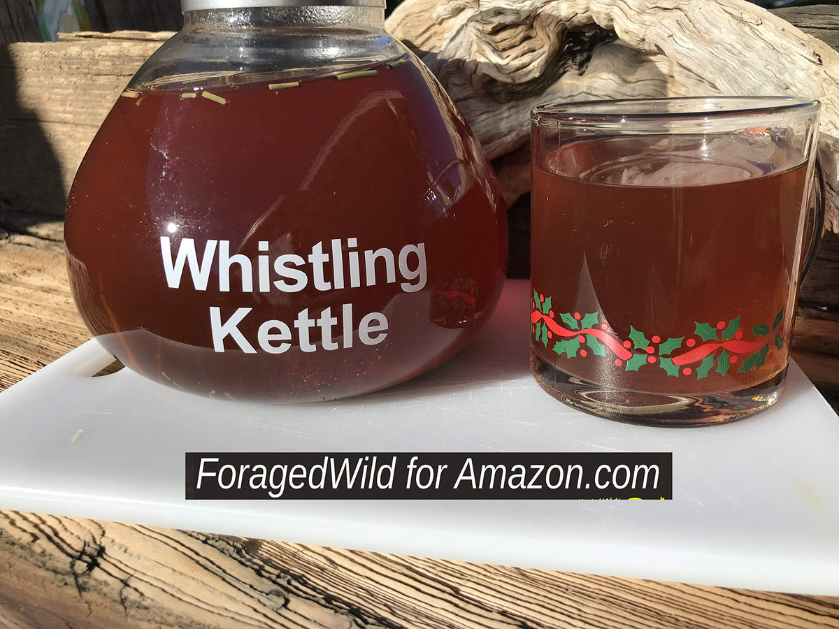 ForagedWild Mormon Tea grind detail, finer grind speeds extraction and richer flavor.