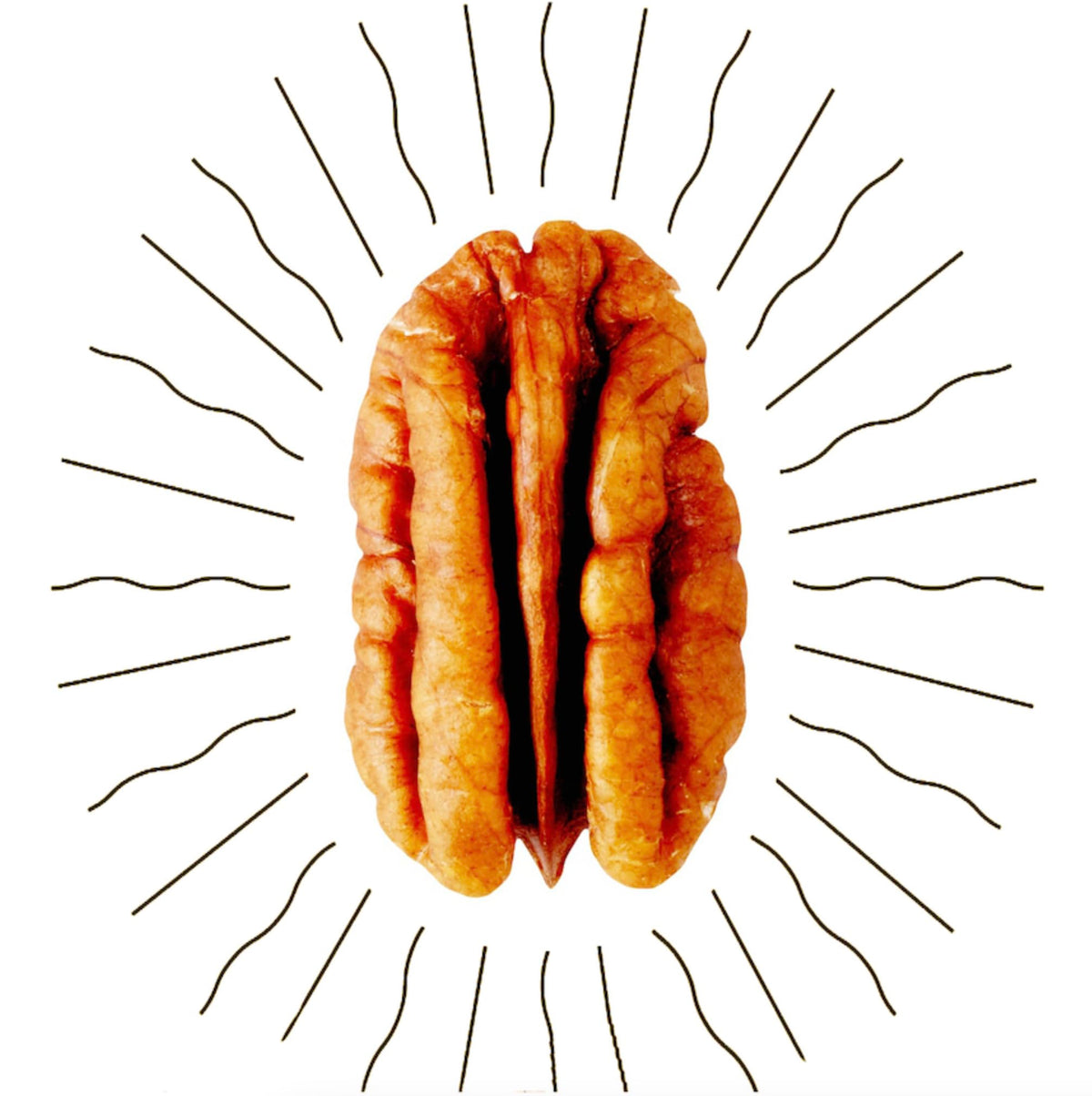 Fortune Favors candied pecans gift box image, ideal for gifting.