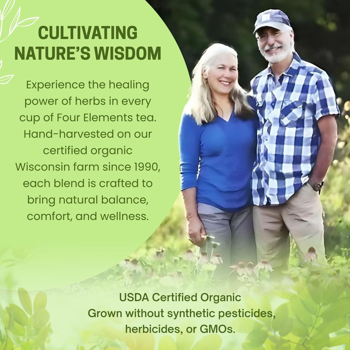 Four Elements 4E Minus Sinus Tea packaging inside reveals farm origin story.