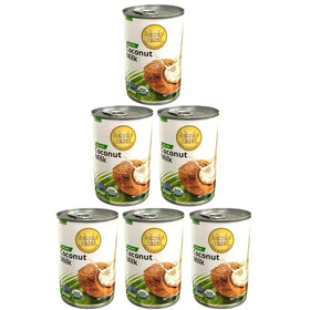 Four Elephants coconut milk can with rich creaminess for smoothies