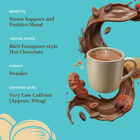 Steaming mug of Four Sigmatic Calm mushroom cocoa evokes cozy evenings