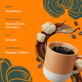 Four Sigmatic Chaga mushrooms closeup showing antioxidant-rich natural boost.