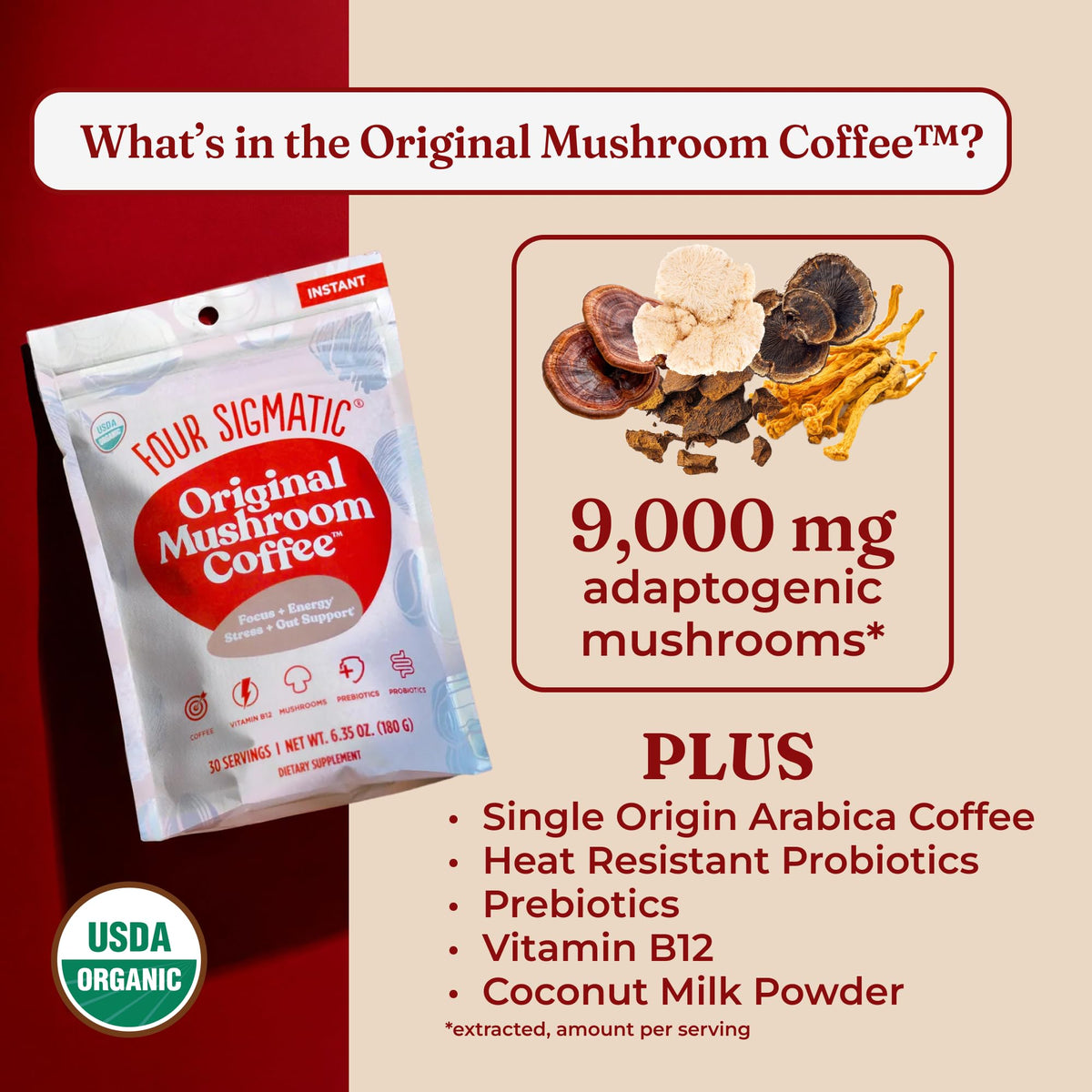 Mushroom blend ingredients featuring Lion's Mane and Chaga for cognitive support
