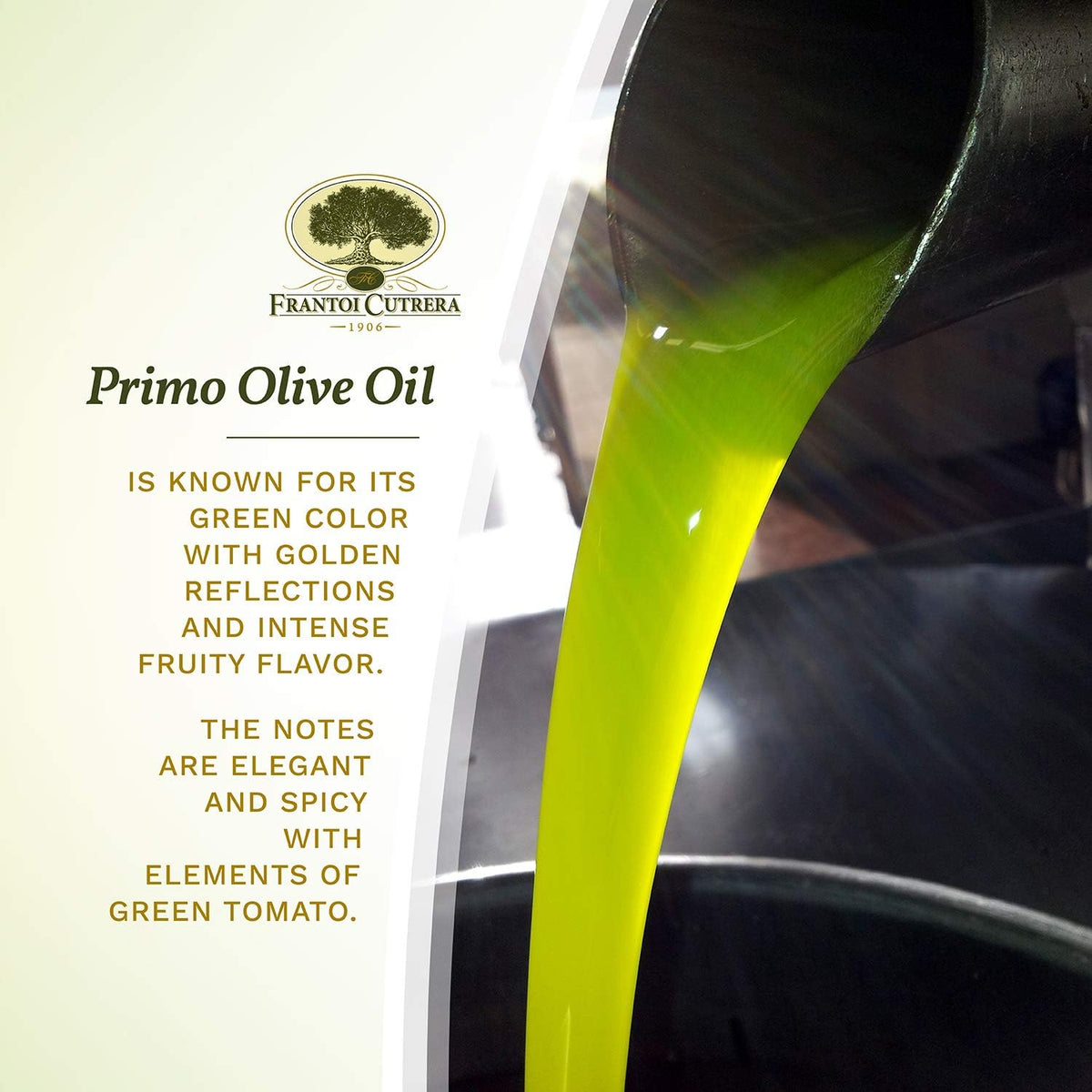 Frantoi Cutrera Primo label close-up; authentic DOP Sicily quality shines.