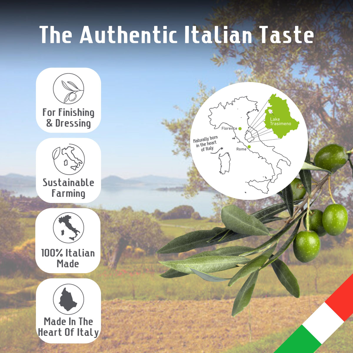 Bulk 3L olive oil by Frantoio Uliveti Umbri for kitchens