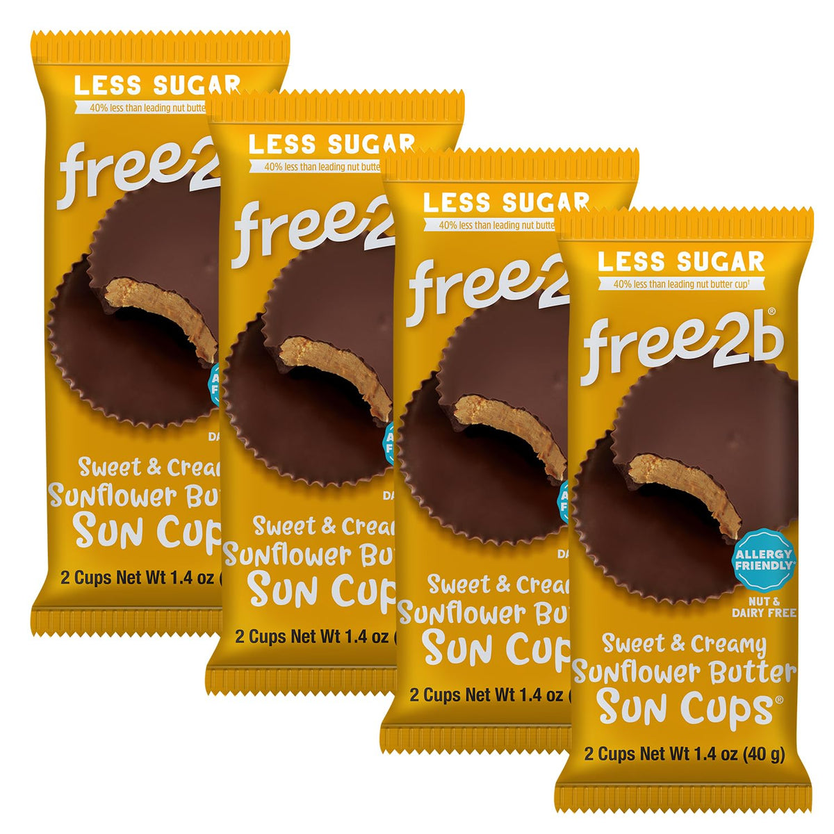 Free 2b Gluten-free allergen-free snack tray showing safe, dairy-free chocolate.