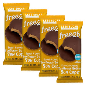 Free 2b Gluten-free allergen-free snack tray showing safe, dairy-free chocolate.