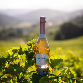 Pouring French Bloom Le Rosé creates a refined, festive moment.