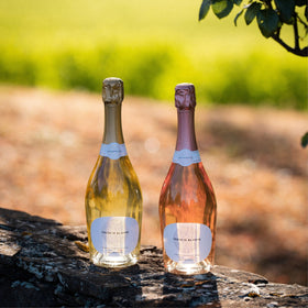 French Bloom Limoux-inspired dealcoholisation process, preserving natural character.