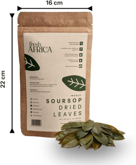 Fresh Africa Soursop Leaves in cup featuring caffeine-free herbal tea for relaxation