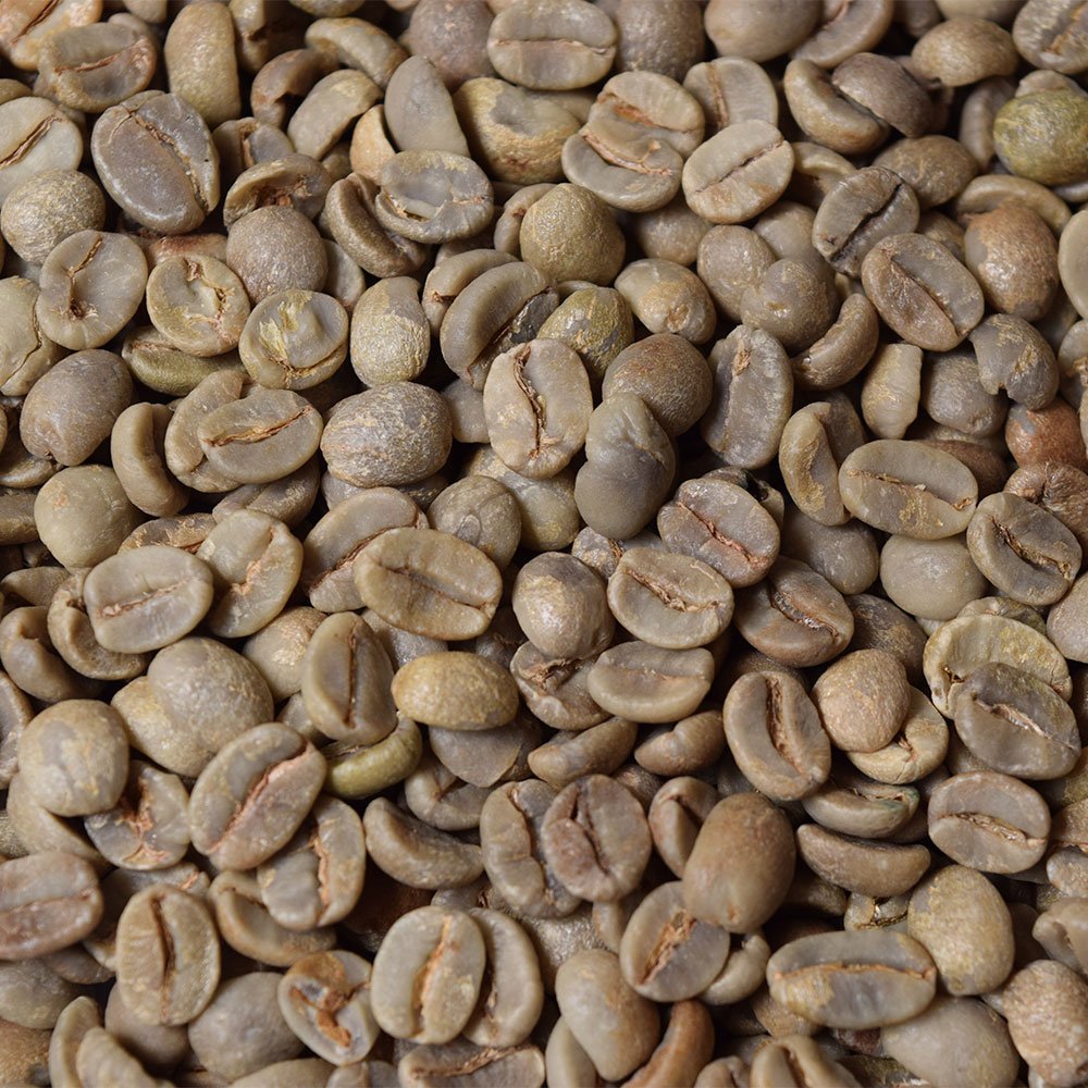 Fresh Roasted Coffee 5 pound bag ready for roasting session
