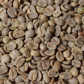 Fresh Roasted Coffee 5 pound bag ready for roasting session
