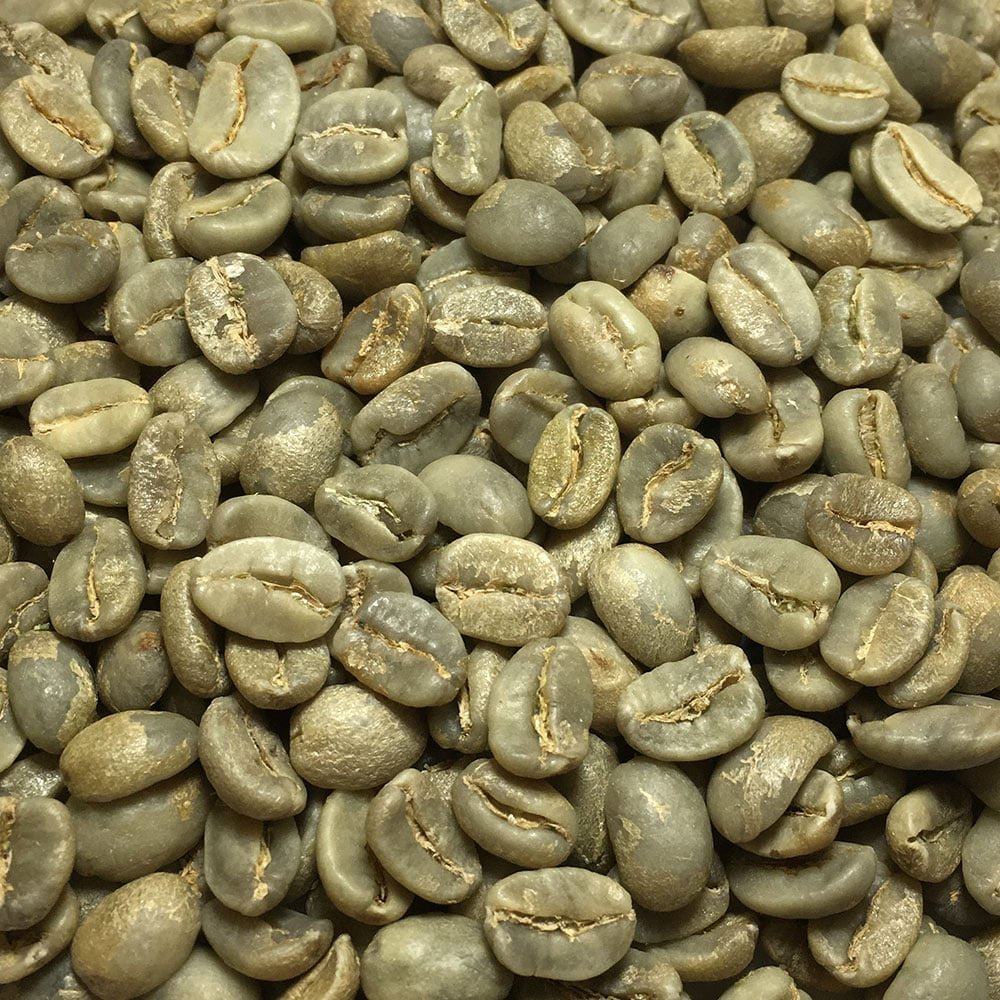 Fresh Roasted Coffee at-home roaster setup for easy roasting sessions