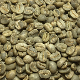 Fresh Roasted Coffee at-home roaster setup for easy roasting sessions