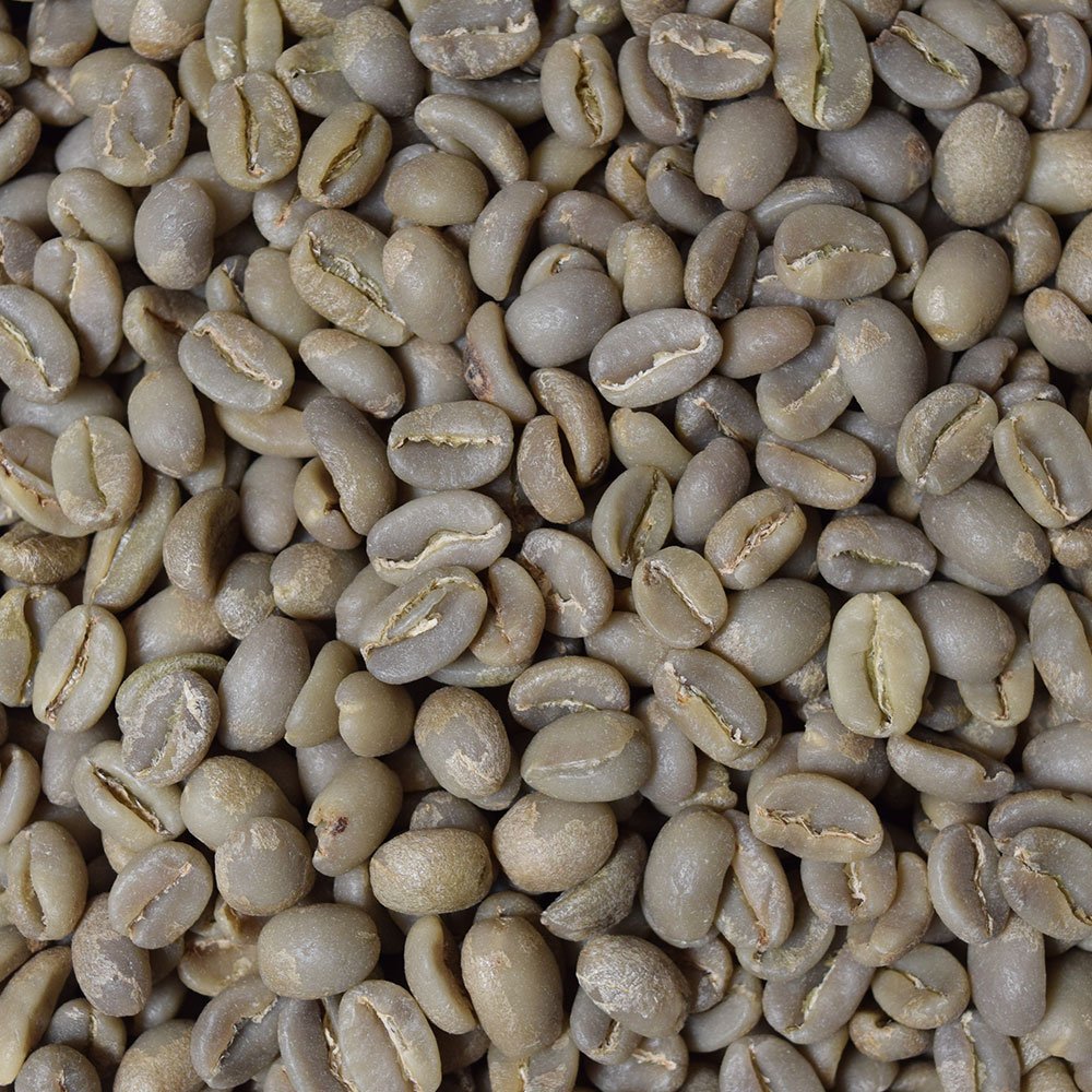Fresh Roasted Coffee at-home roasting setup ready beans.