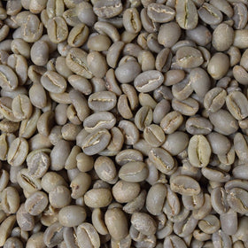 Fresh Roasted Coffee at-home roasting setup ready beans.