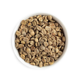 Fresh Roasted Coffee Brazil green beans closeup for roast profiling