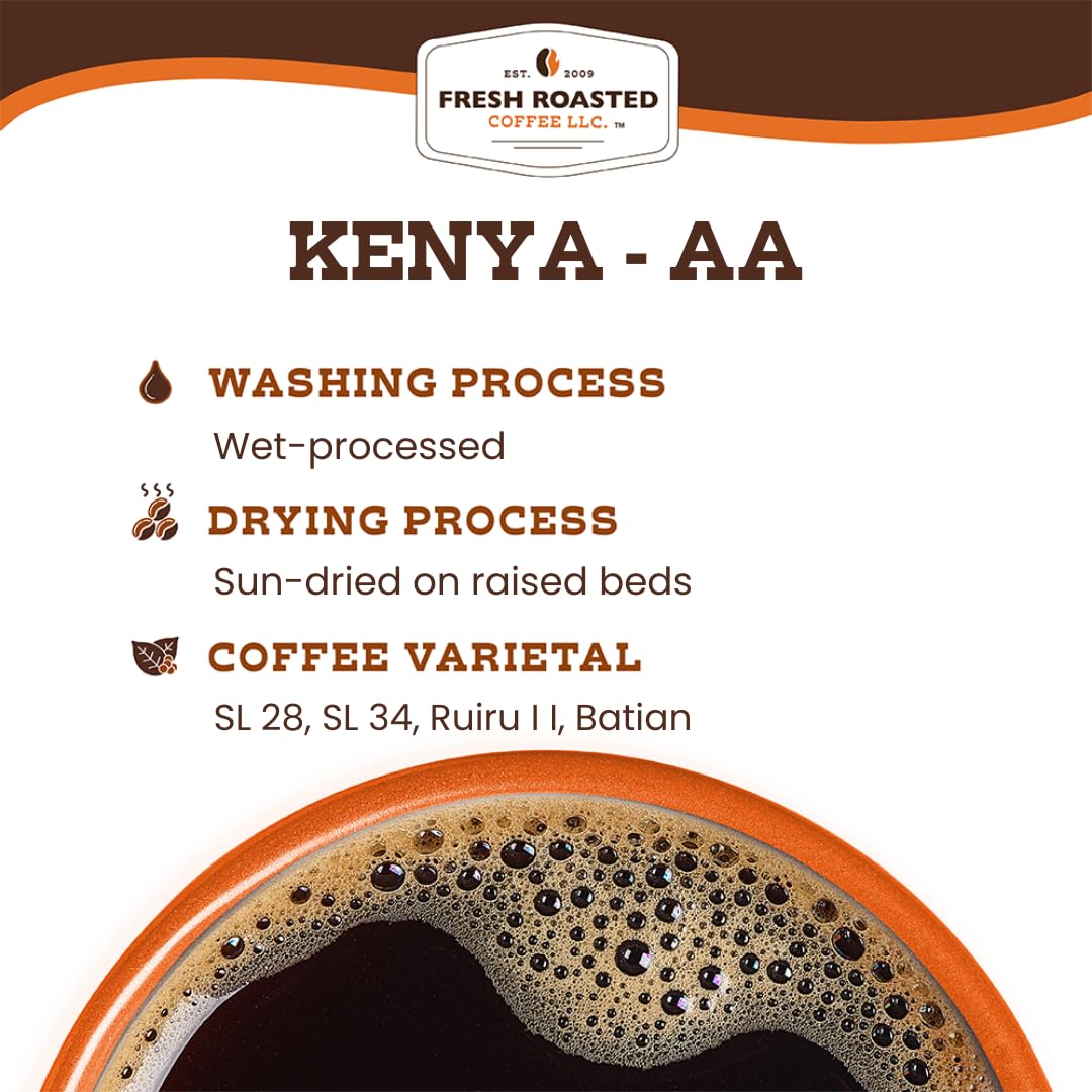Fresh Roasted Coffee Kenya AA beans close-up showing bright, balanced flavor potential.