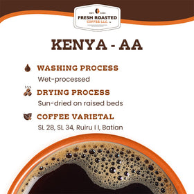 Fresh Roasted Coffee Kenya AA beans close-up showing bright, balanced flavor potential.