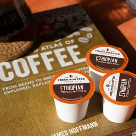 Loring SmartRoaster at Fresh Roasted Coffee for cleaner, flavorful roasts.