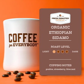 Fresh Roasted Coffee pour-over setup featuring light roast and berry notes