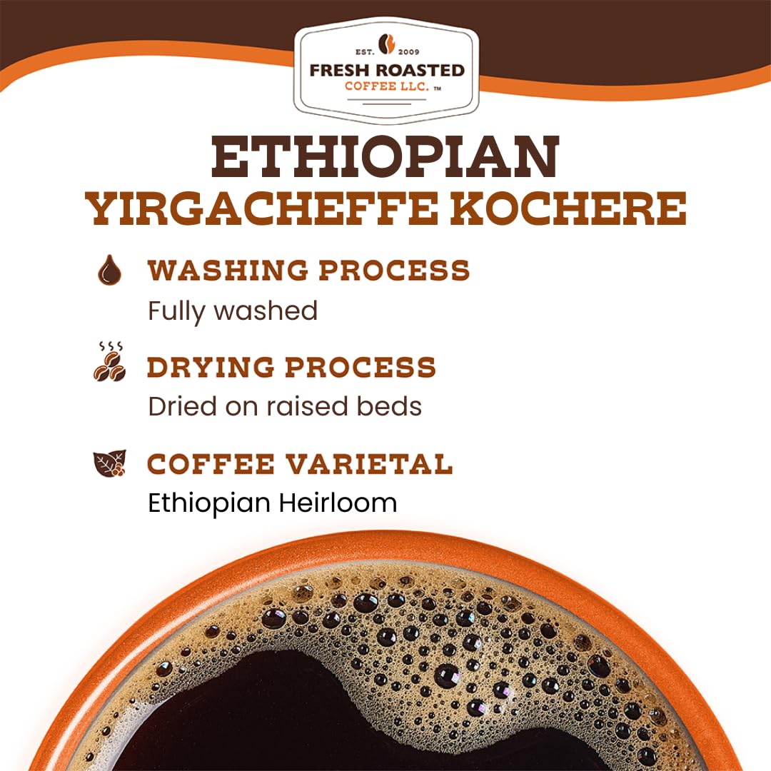 Fresh Roasted Coffee pour-over setup showcases precise grind and bloom potential.