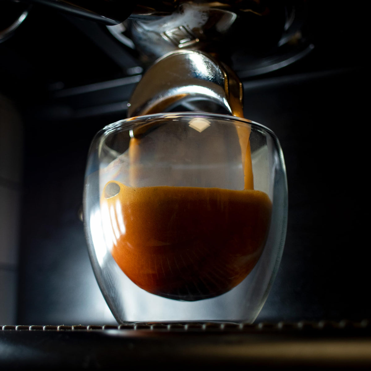 Fresh Roasted Coffee recyclable aluminum cup and lid reduce waste.