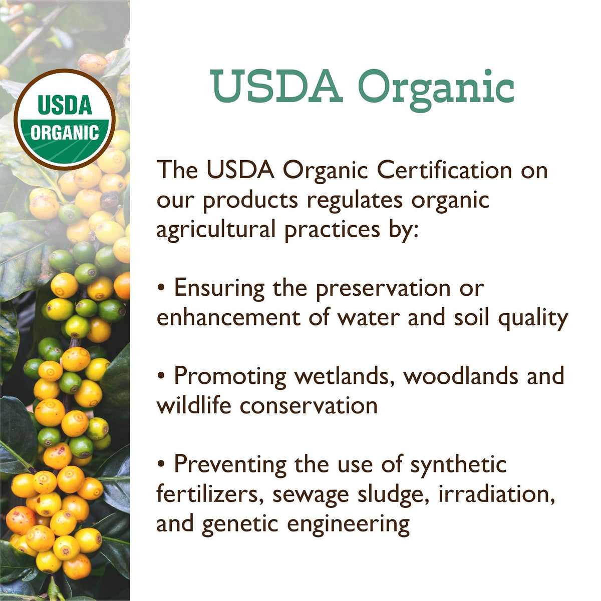 Fresh Roasted Coffee sustainable sourcing tag highlights responsible farming.