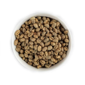 Fresh Roasted Coffee Tanzania Peaberry close-up beans highlight texture for roasters.