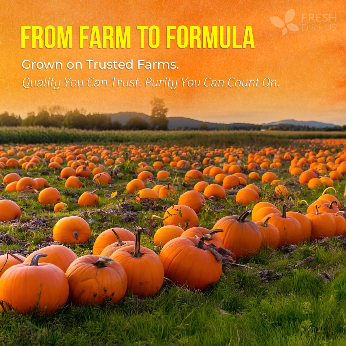 FreshDrinkUS additive-free formula supports modern lifestyle supplementation.