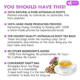 FreshDrinkUS astragalus tea brew cup highlights caffeine-free herbal relaxation.