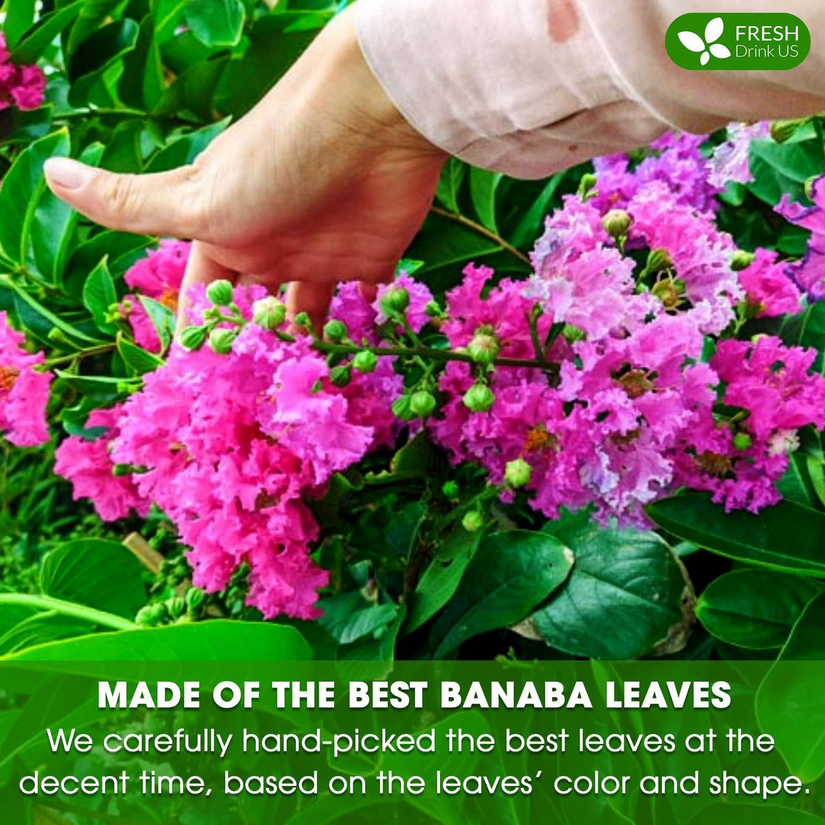 FreshDrinkUS Banaba tea bag resealable; preserves freshness.