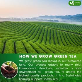 FreshDrinkUS biodegradable corn fiber tea bags.