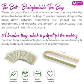 Biodegradable tea bags with Kraft packaging signal sustainable freshness for FreshDrinkUS.