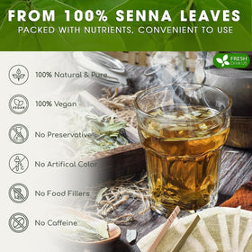 FreshDrinkUS biodegradable tea bags emphasize sustainable choice for tea lovers