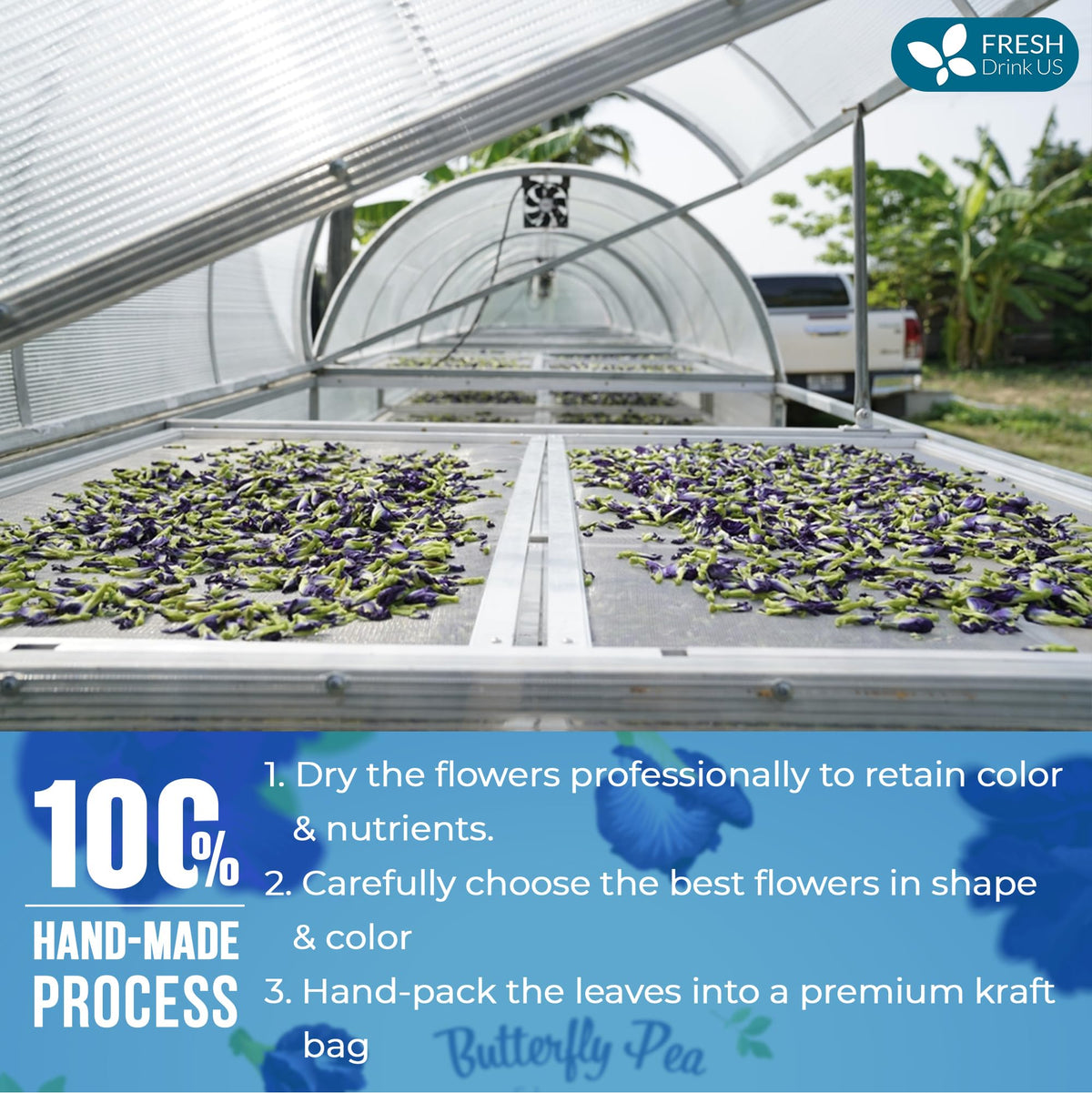 FreshDrinkUS blue butterfly pea flowers used as cocktail ingredient for color