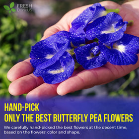 FreshDrinkUS blue butterfly pea tea in glass cup for refreshing, caffeine-free enjoyment