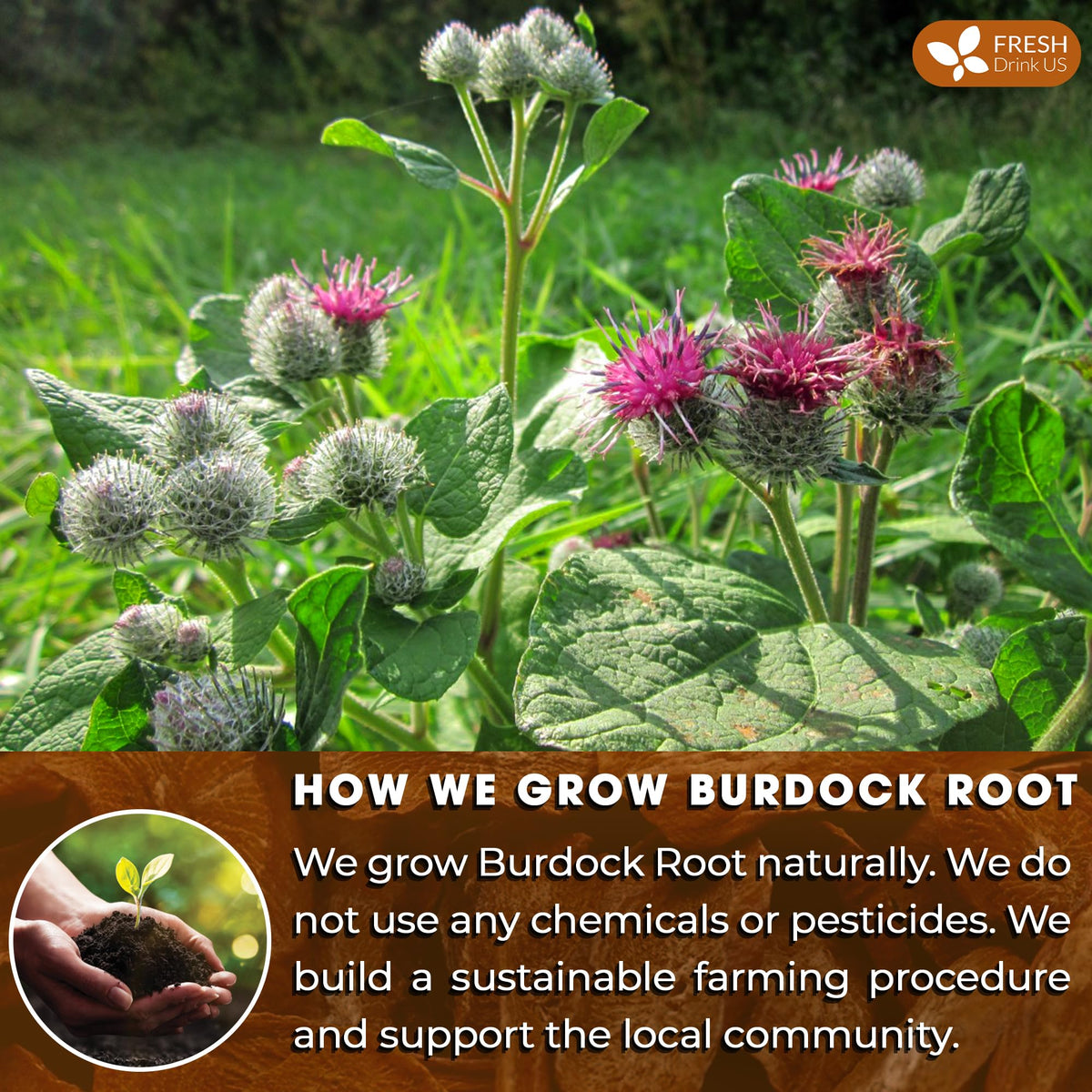 Resealable bag of FreshDrinkUS burdock powder keeps freshness and aroma intact