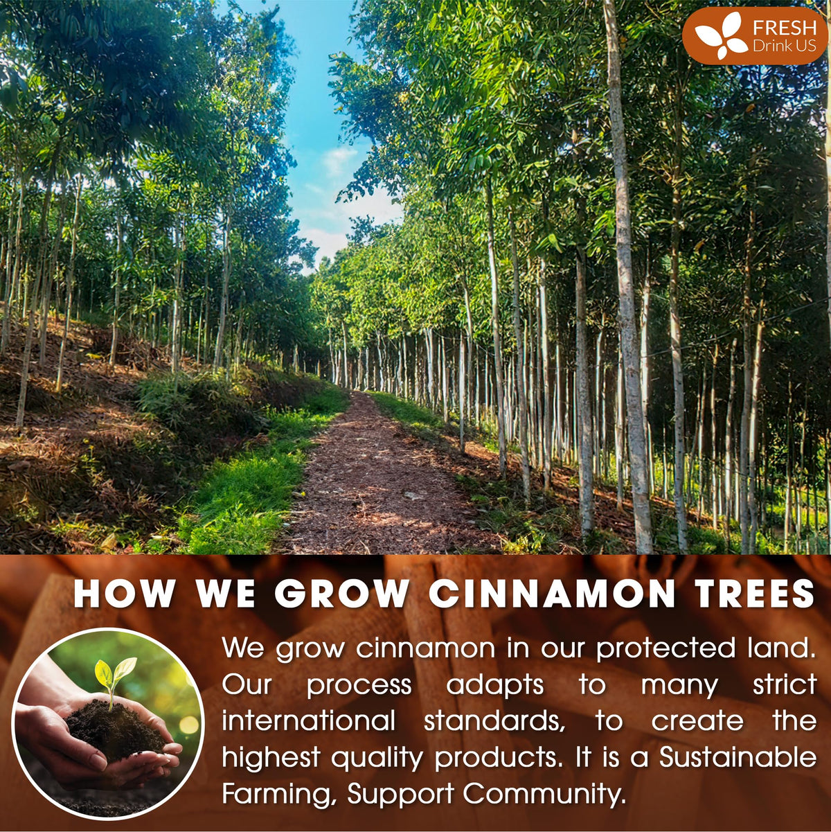 FreshDrinkUS cinnamon sticks infusing tea with rich aroma.
