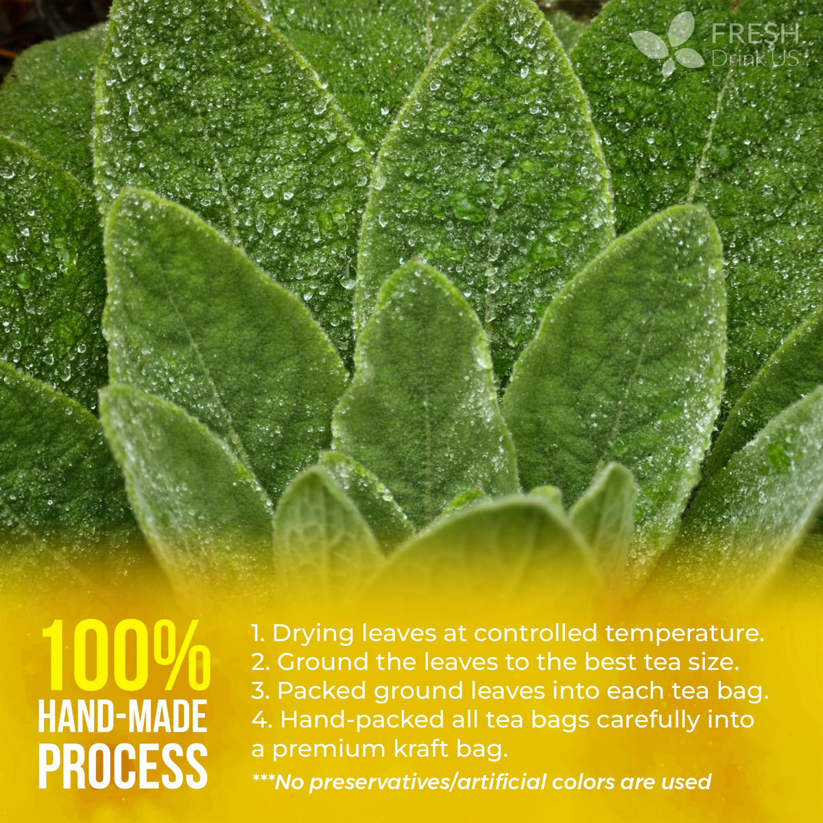 FreshDrinkUS cup steeping mullein tea with inviting color and scent
