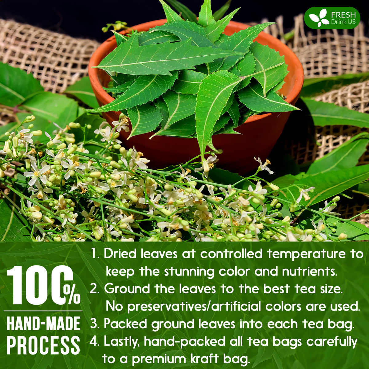 FreshDrinkUS dried neem leaves selection highlights natural harvest quality