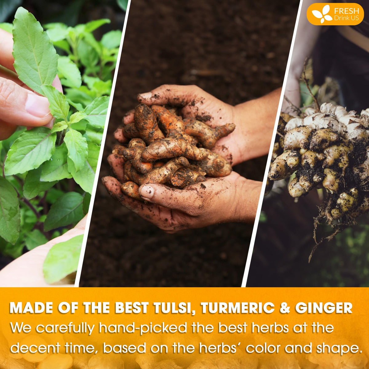 FreshDrinkUS sustainable family farms power every batch.